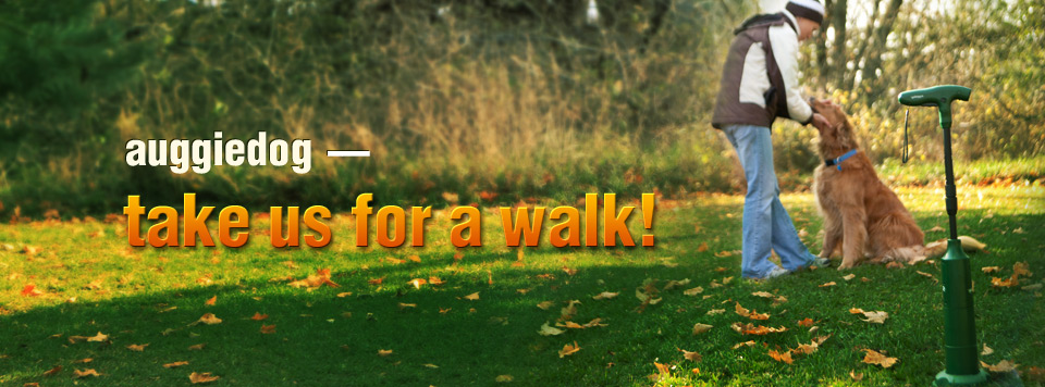 Auggiedog — take us for a walk!